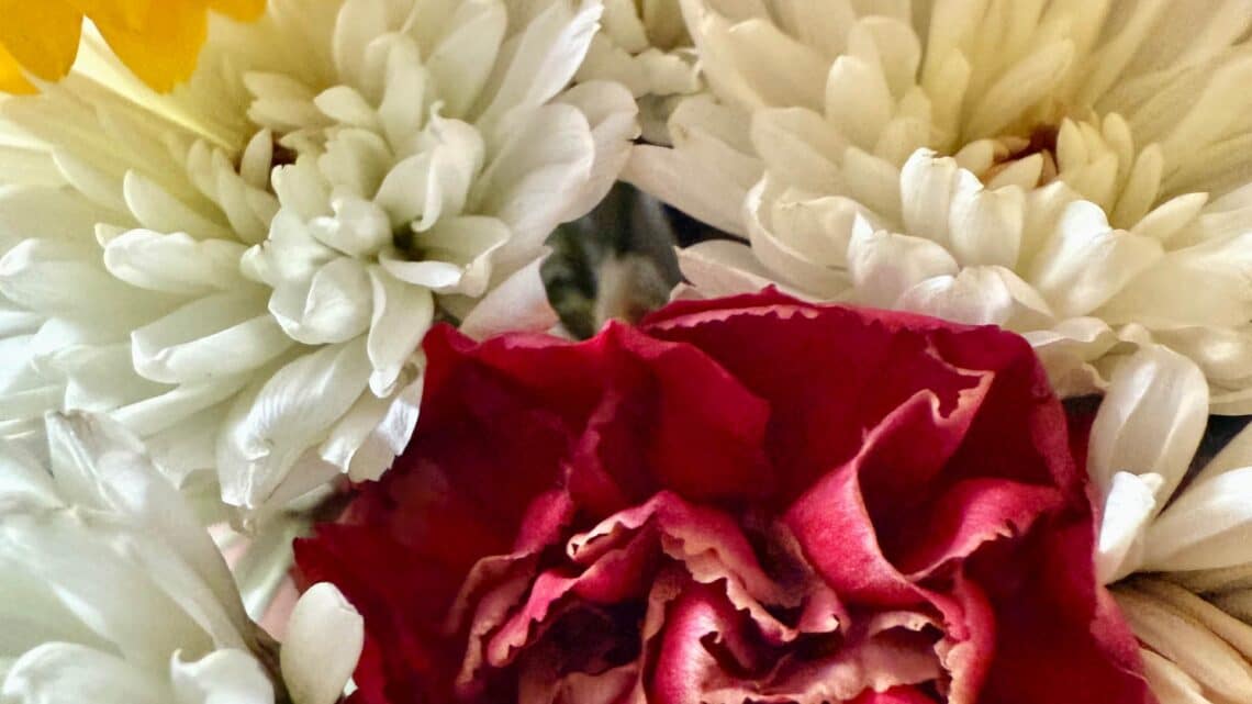 Trapped between pain and wakefulness