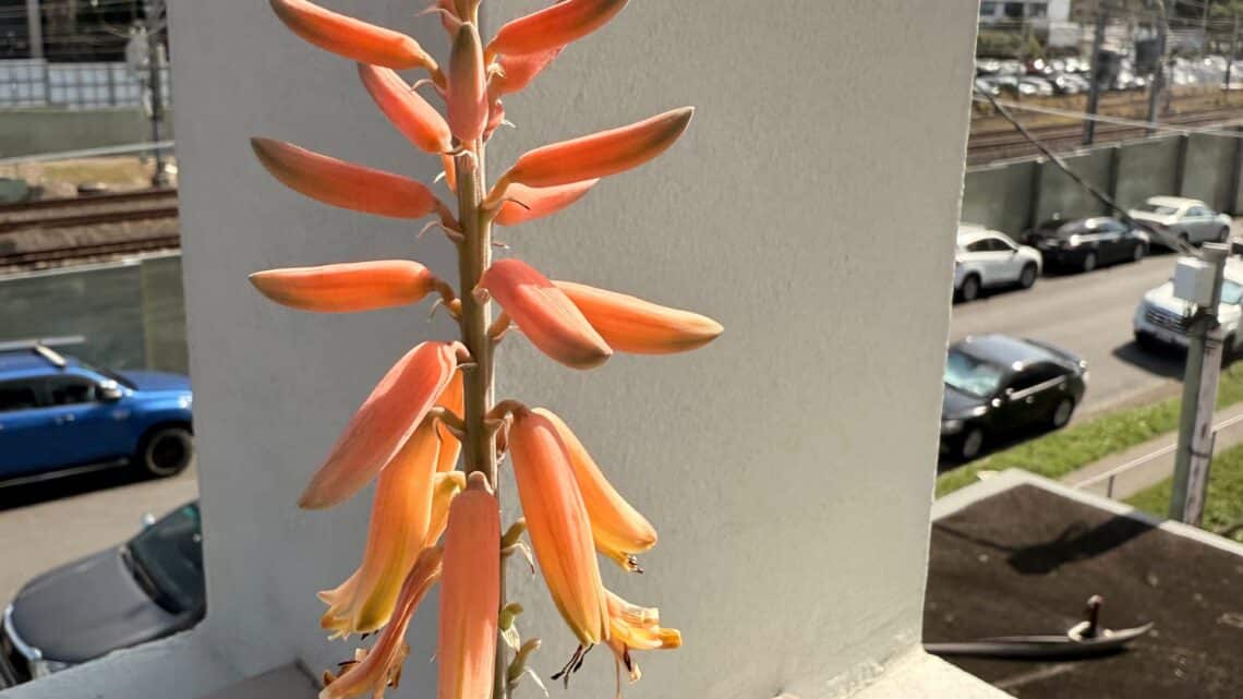 Why I always need to know?